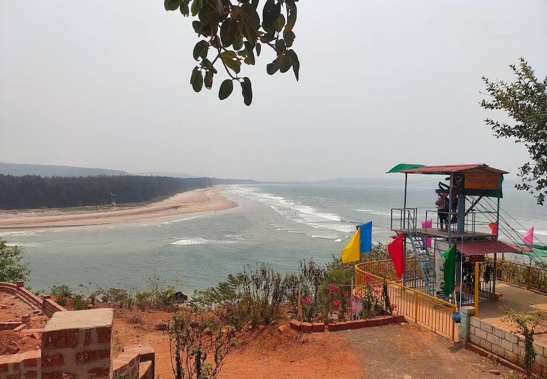 Plot view
