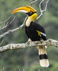 Bird watching at Nivendi image 2