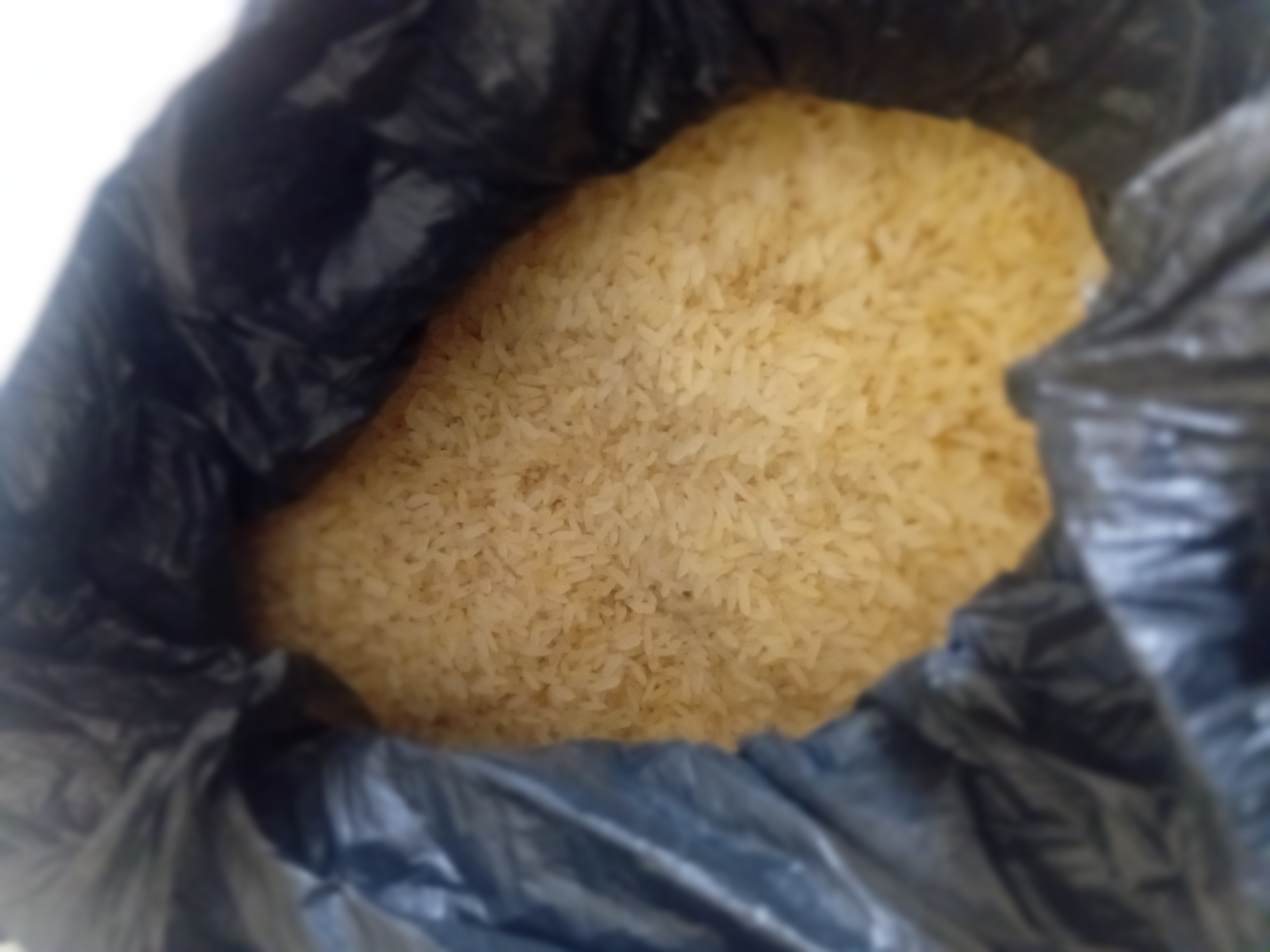 Rice