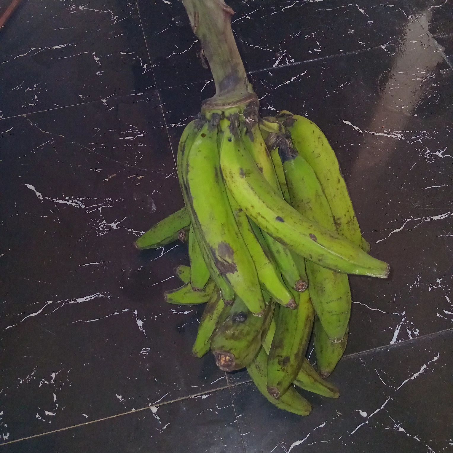 fresh plantain 