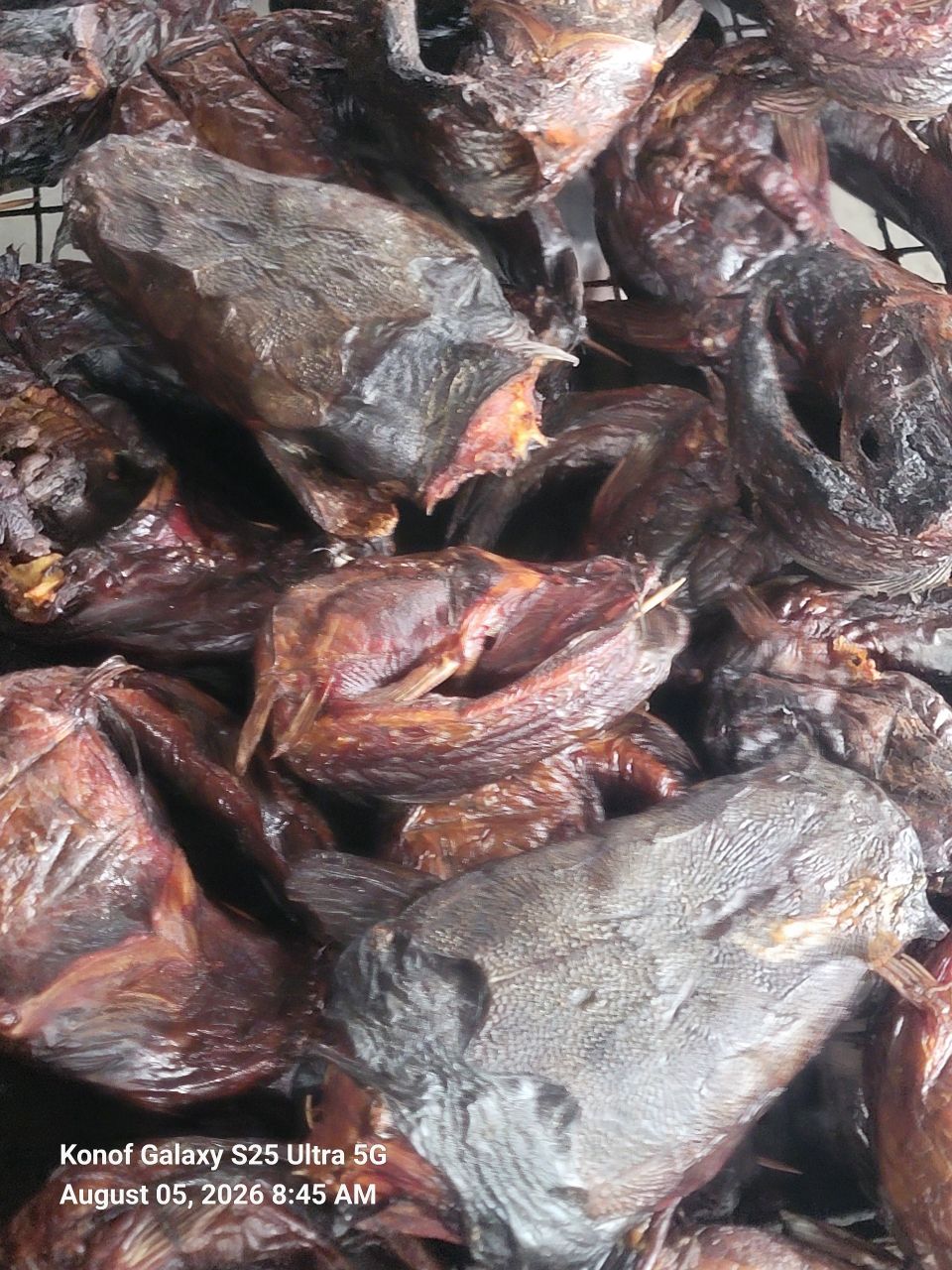 Dried Catfish 