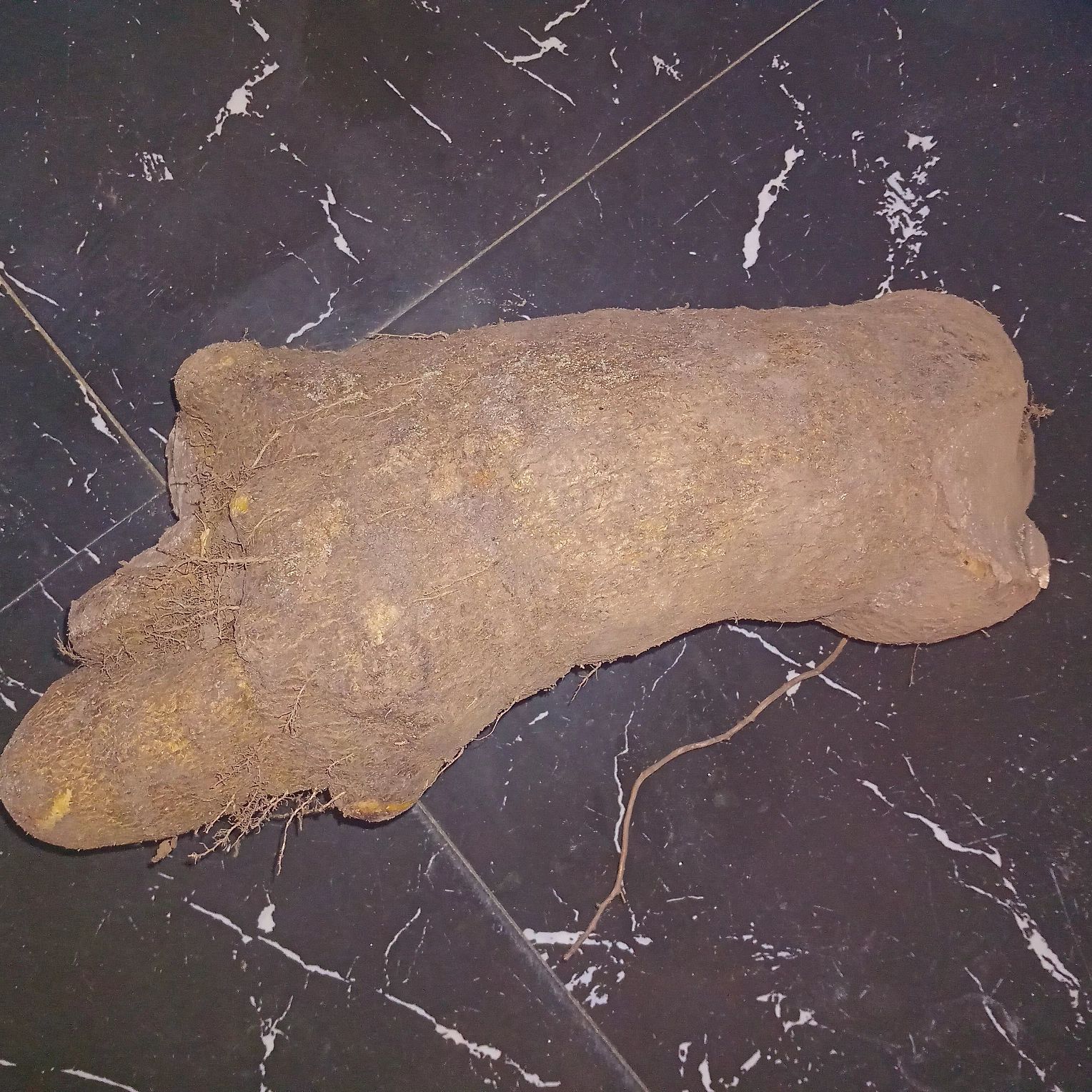 fresh organic yam