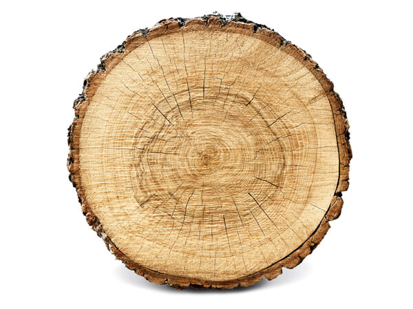 Ствол в сечении — круглый