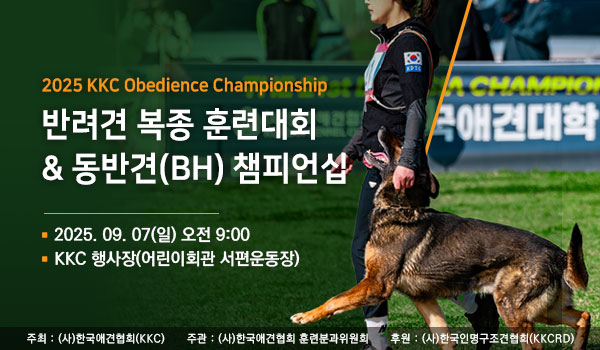 contests%2F%E1%84%92%E1%85%AE%E1%86%AB%E1%84%85%E1%85%A7%E1%86%AB%E1%84%83%E1%85%A2%E1%84%92%E1%85%AC.jpeg?alt=media&token=f415744f-2f96-42f1-bbb1-c802c332f846