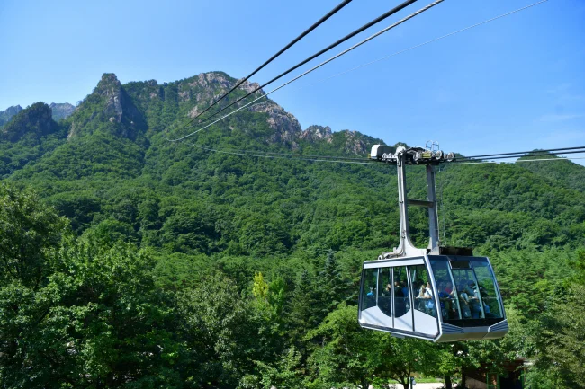 A Scenic Escape to Sokcho: What to See, Eat, and Experience