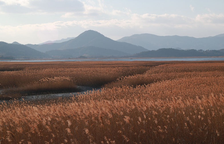 From Coastal Romance to Eco-Paradise: The Ultimate Weekend Guide to Yeosu & Suncheon Bay