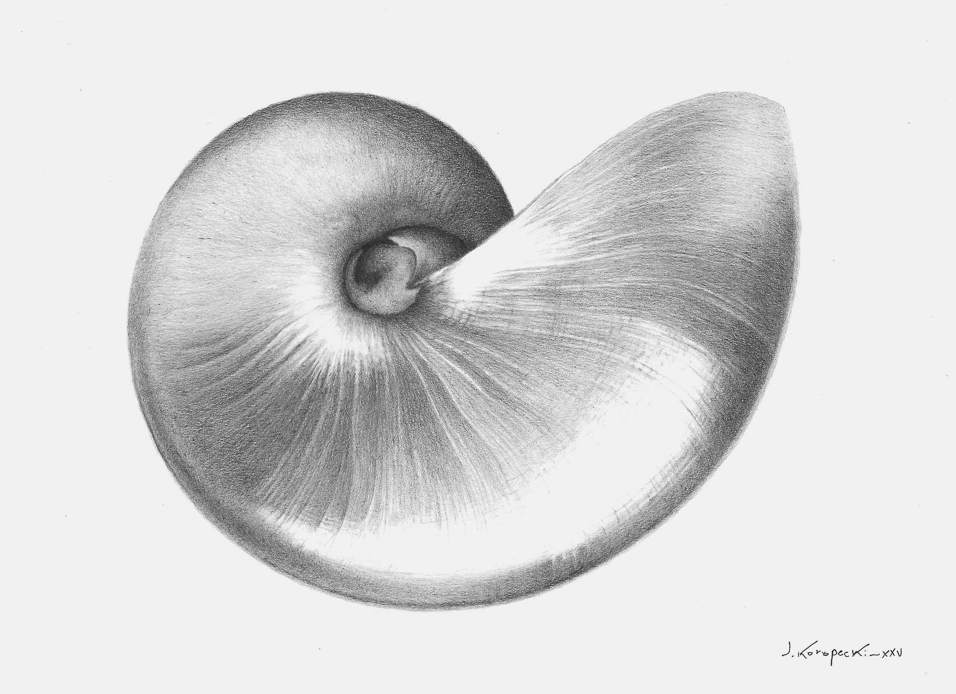 NAUTILUS