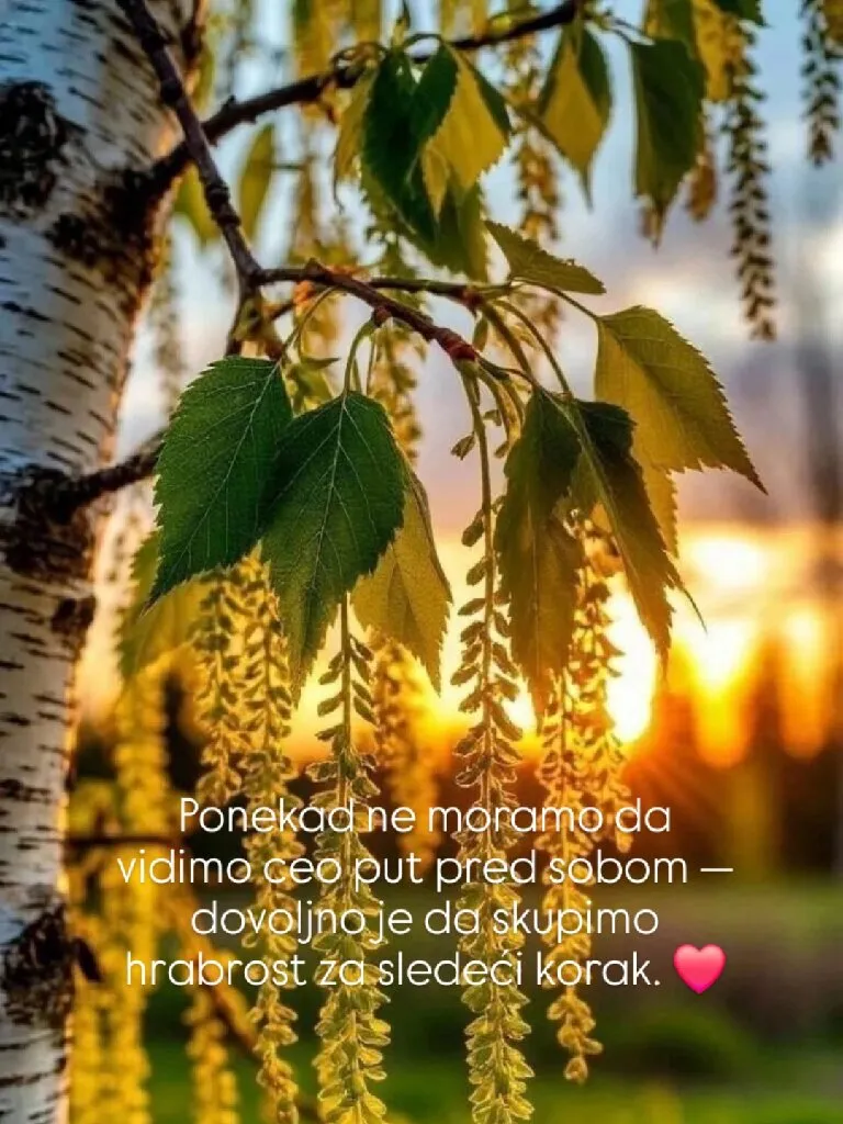 Marija Strenka, psihoterapeut - 4