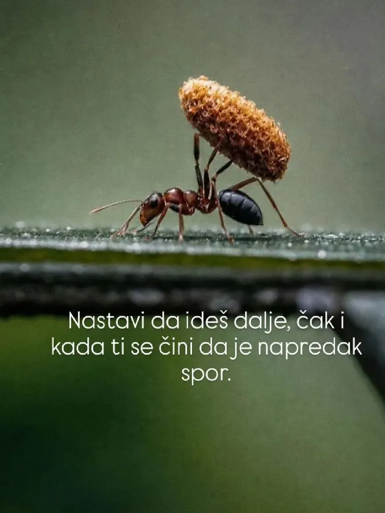 Marija Strenka, psihoterapeut - 2