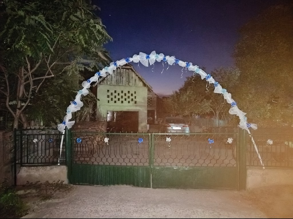 Dekoracije Veseljko - 1