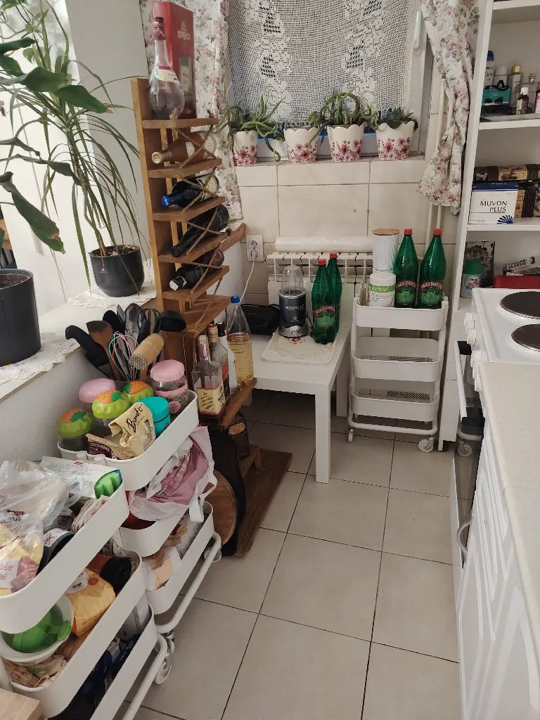 Milica Usluge Odrzavanje Doma I Cuvanje Dece - 1