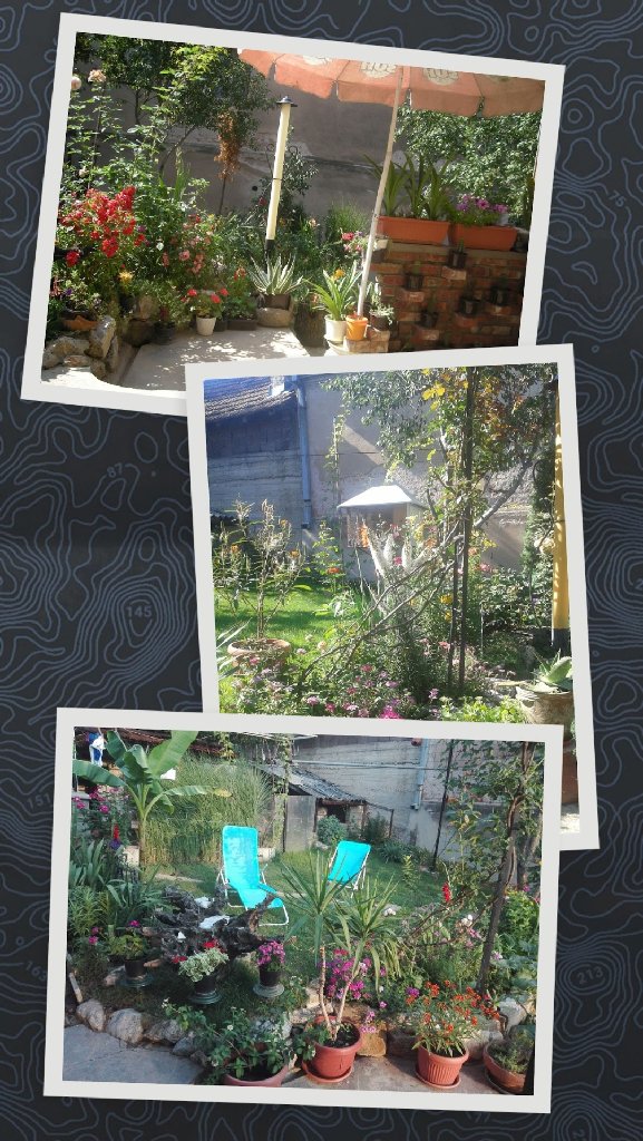 Domar u vašem stanu