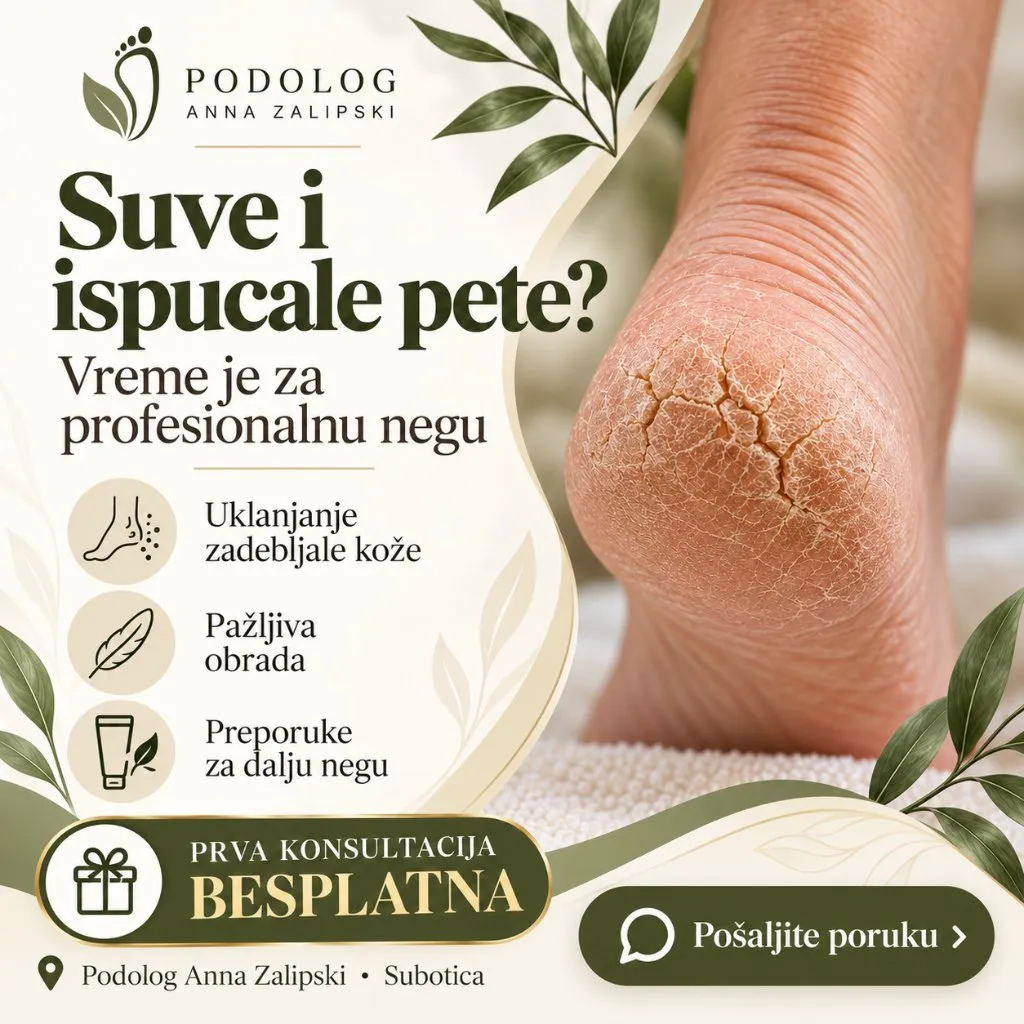 Zalipski podolog - 1