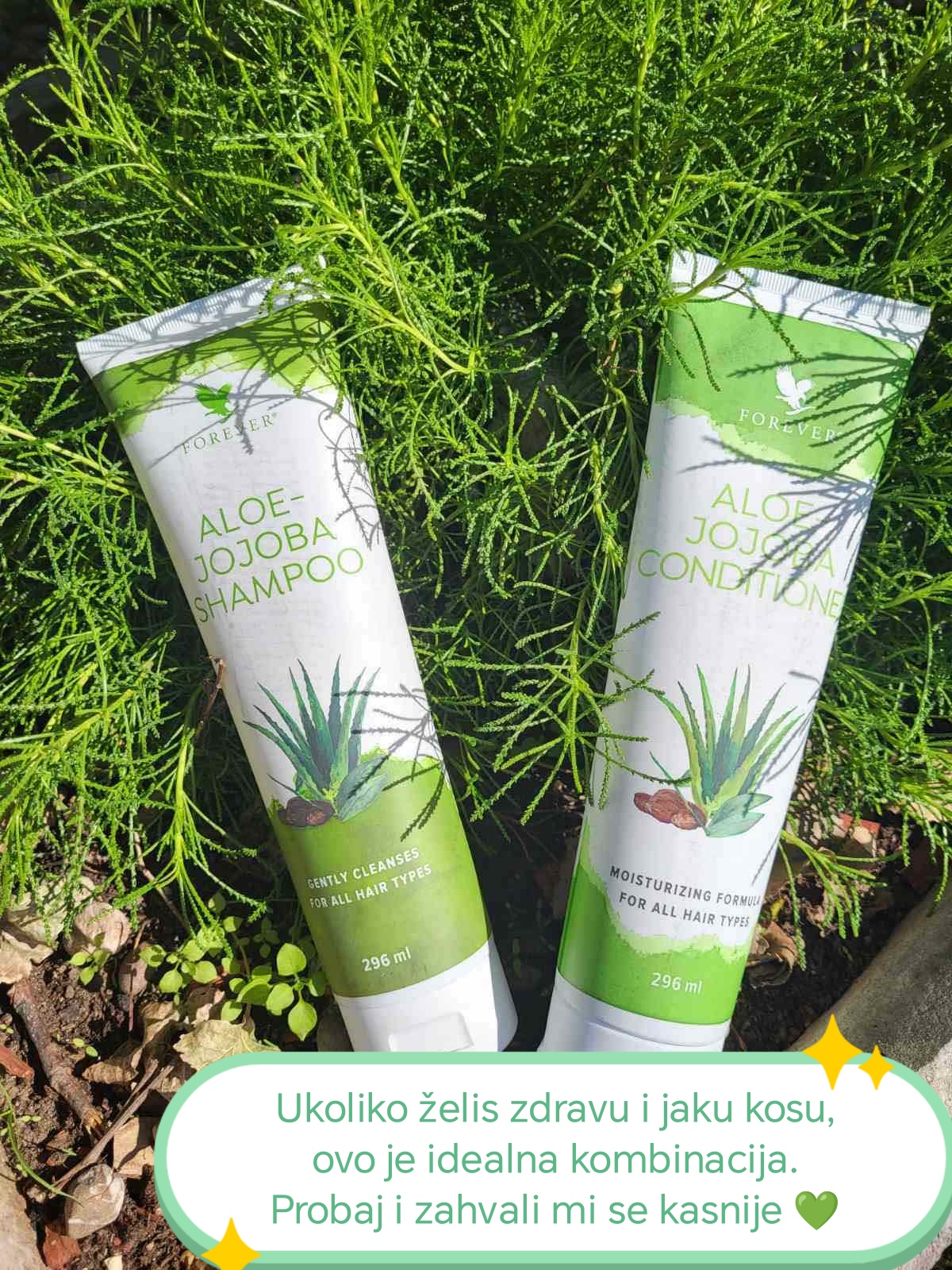 Forever Living Products - 1