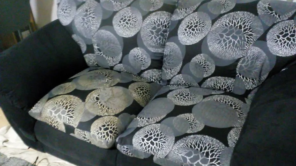 Dubinsko pranje nameštaja,automobila,dušeka,tepiha - 2