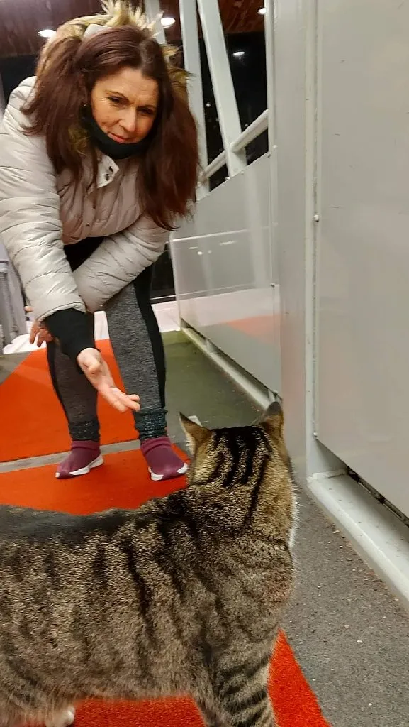 Usluge ciscenja i raspremanja