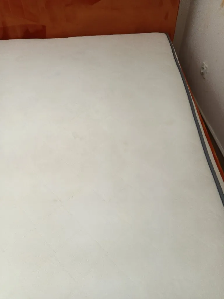 Agencija za ciscenje Clean no.1 - 1