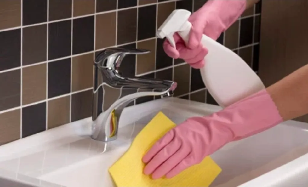 Kućna pomoćnica - 2