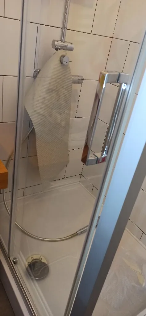 Nada Grujic, spremacica, i bejbisiter za macke - 1