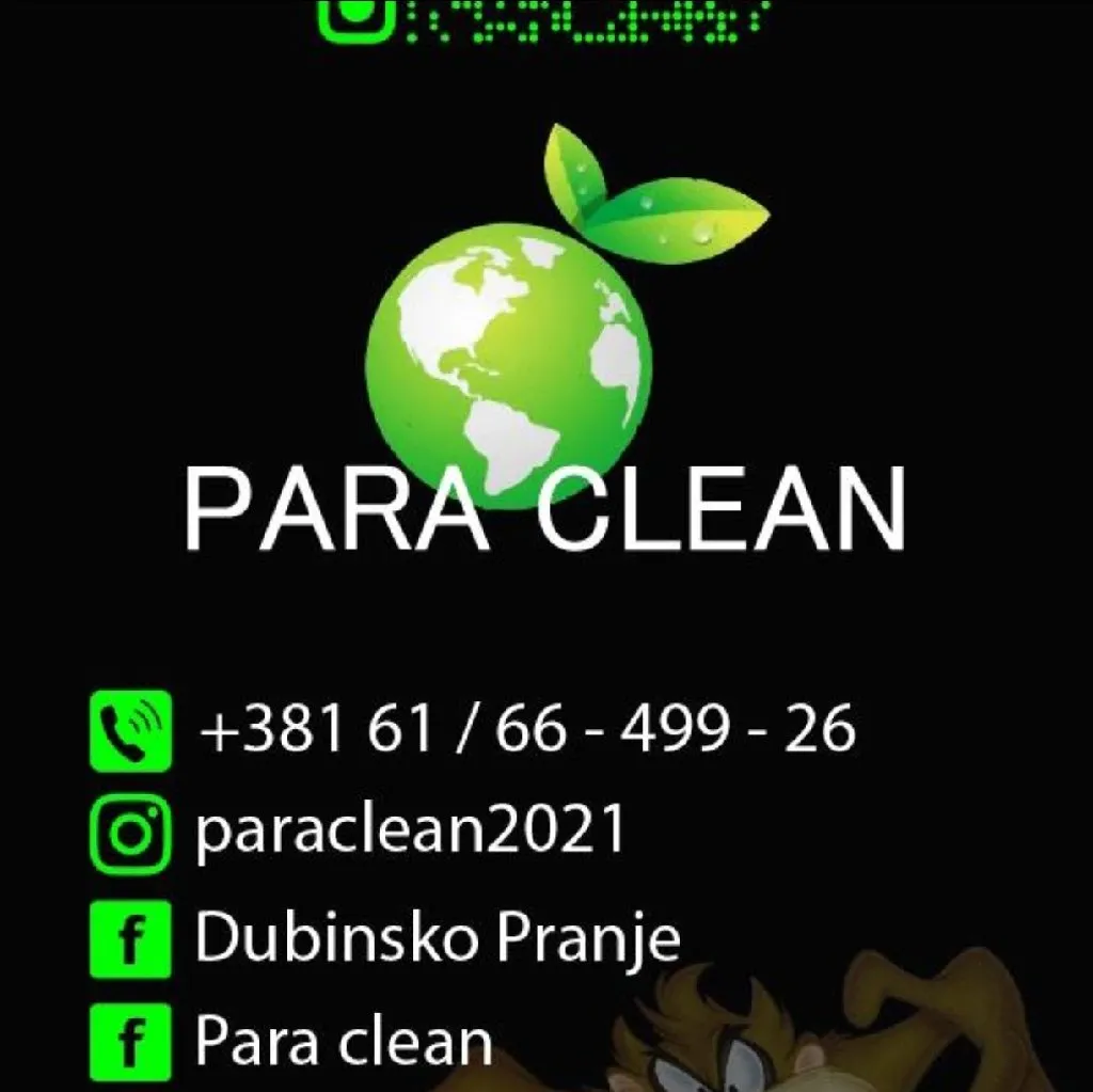 PARA CLEAN