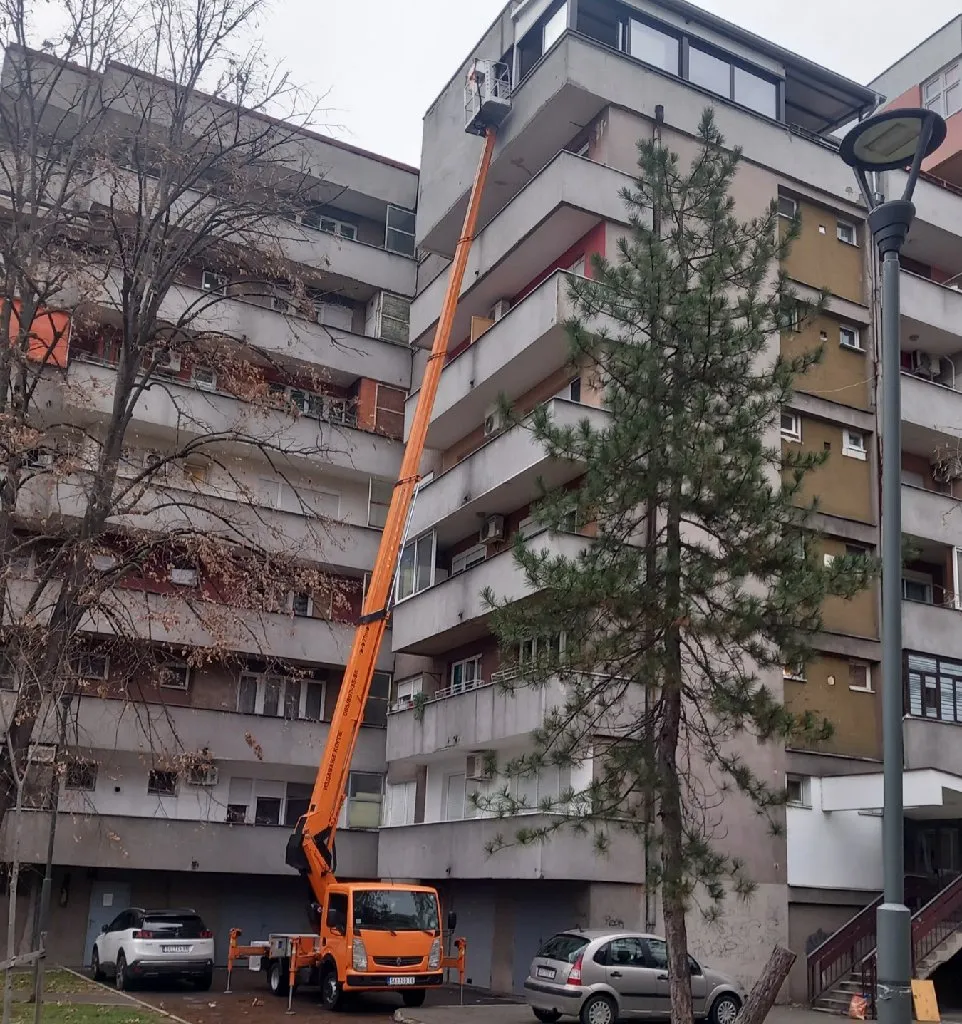 Limar Rajko - 2
