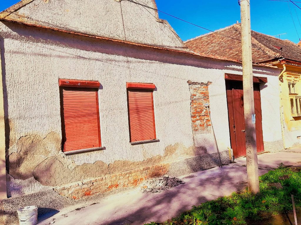 Moler enterijer Njagojev - 6