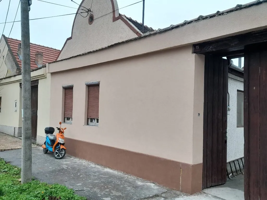 Moler enterijer Njagojev - 5