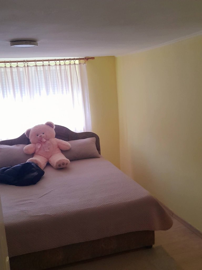 Moler enterijer Njagojev