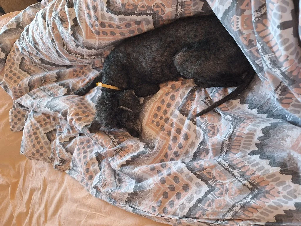 Časovi matematike Niš - 6