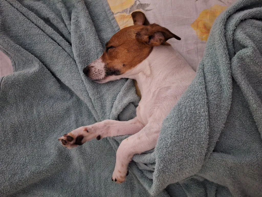 Časovi matematike Niš - 4