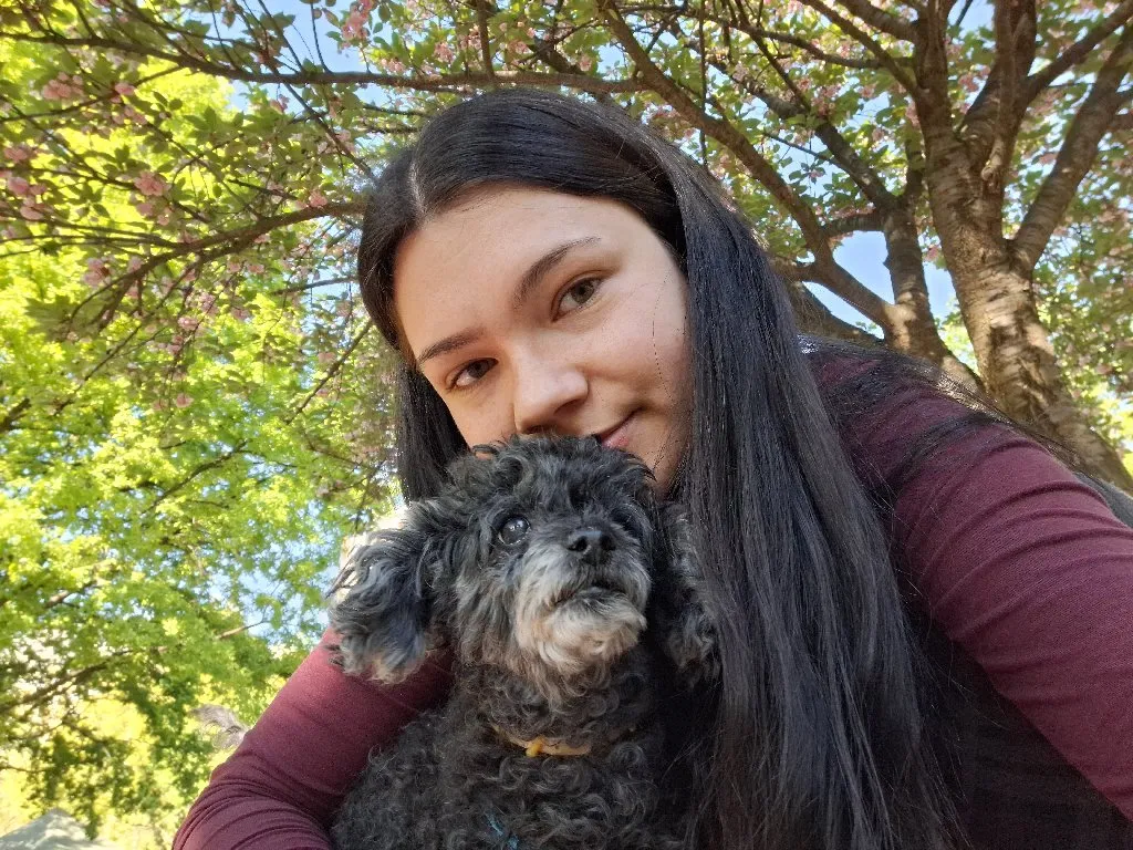 Časovi matematike Niš - 2