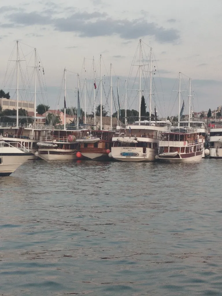 Ciscenje