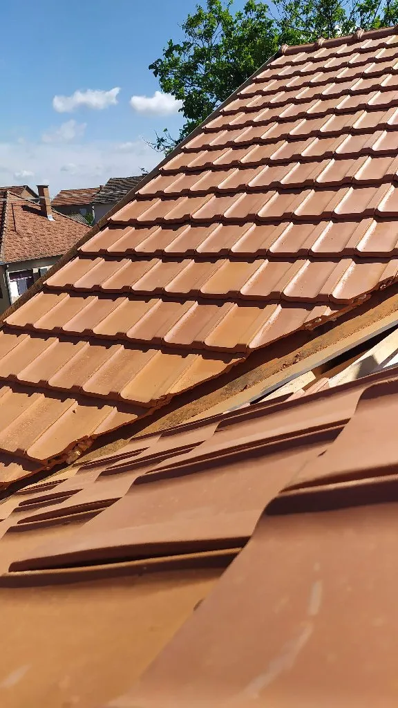 Roof service - 1