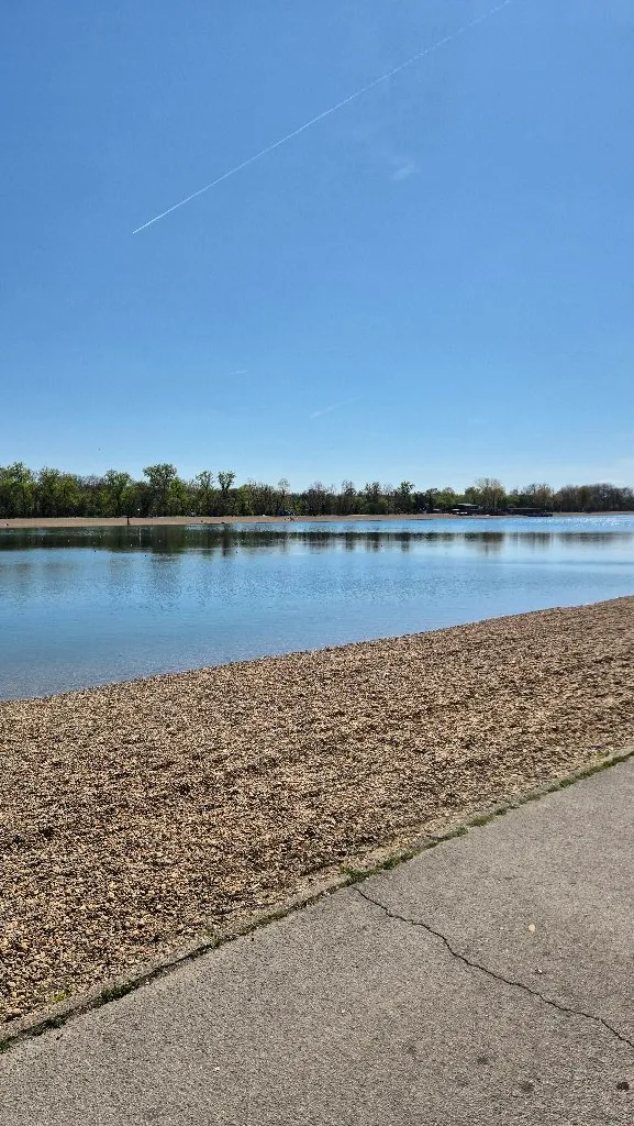 Srpski jezik i književnost - 1