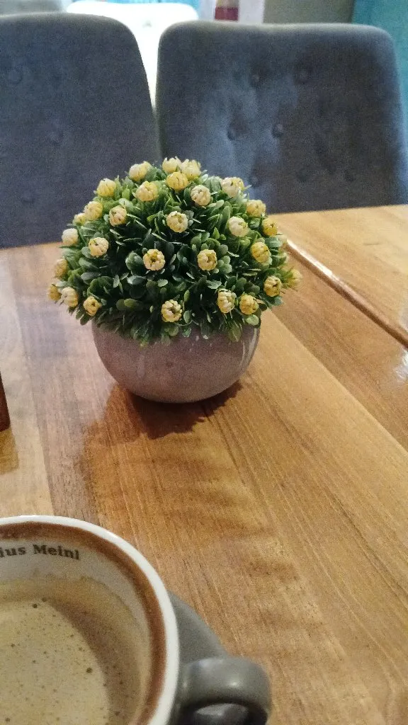 Ciscenje odrzavanje stambenih poslovnih prostora