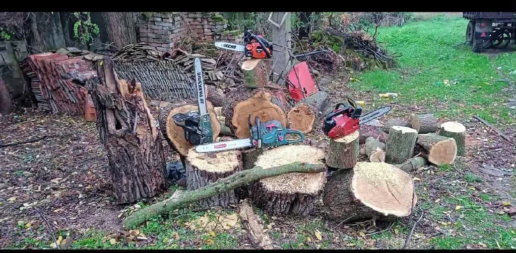 Arborista - 1