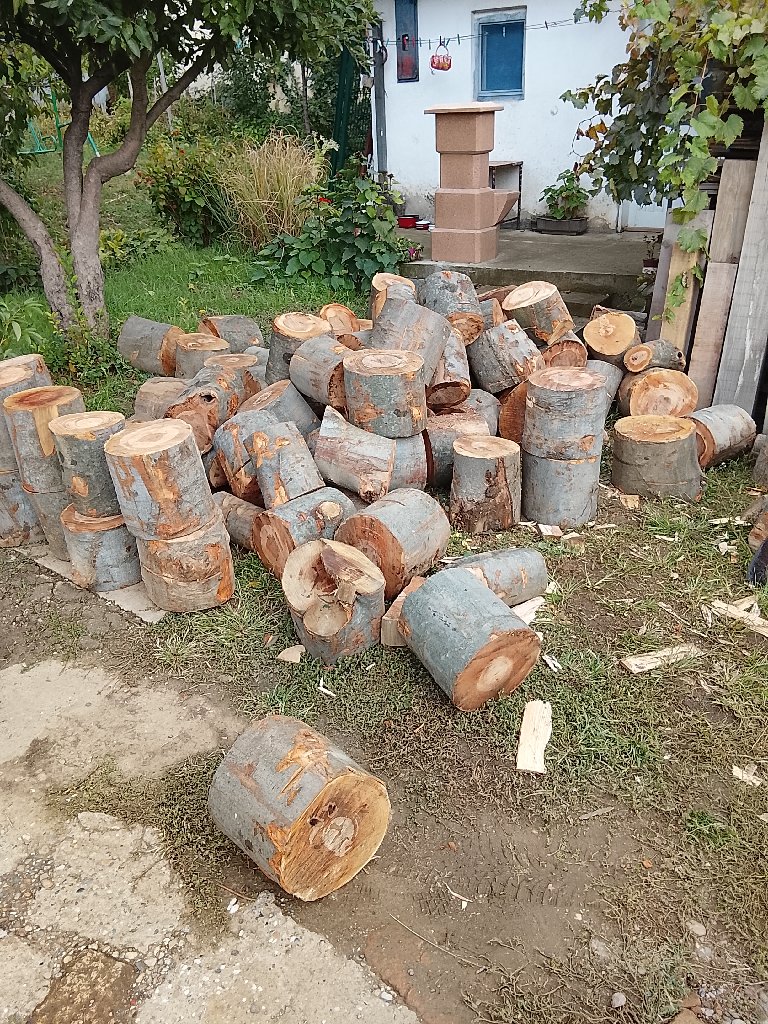 Usluge svega i svacega - 1