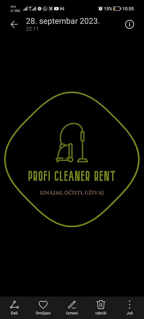 Profi Cleaner rent