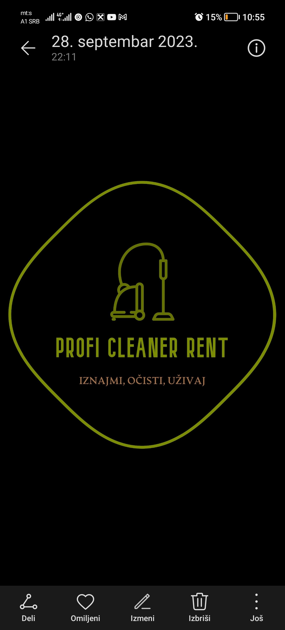 Profi Cleaner rent