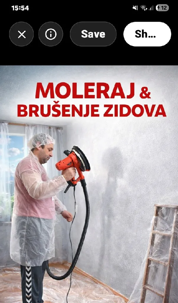 Moler timke