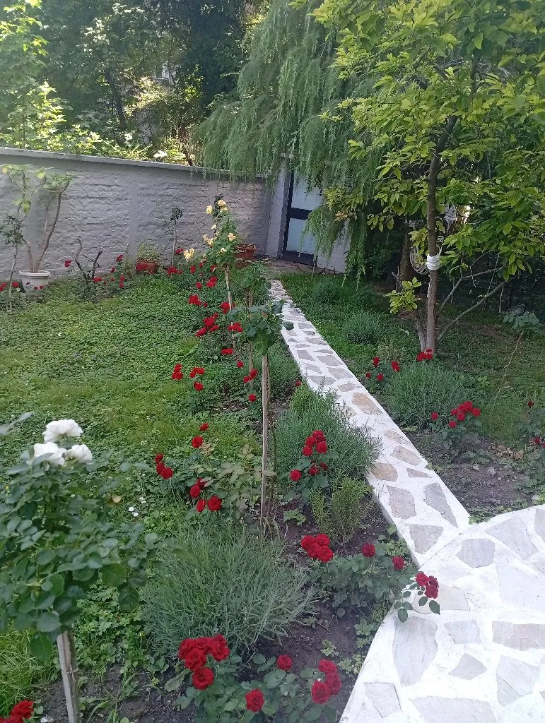 Baštovan - 5