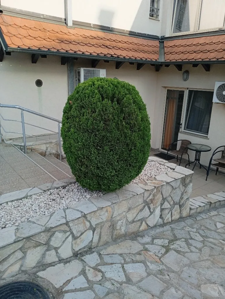 Baštovan - 1