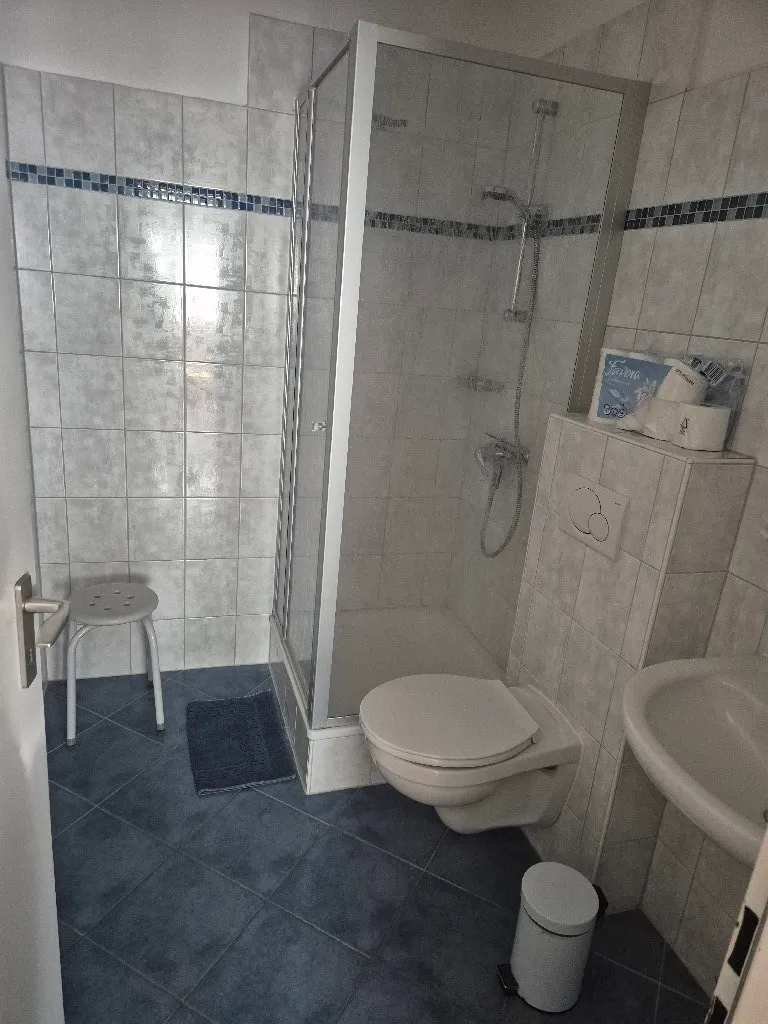 Čišćenje po standardima zapadne Evrope - 4