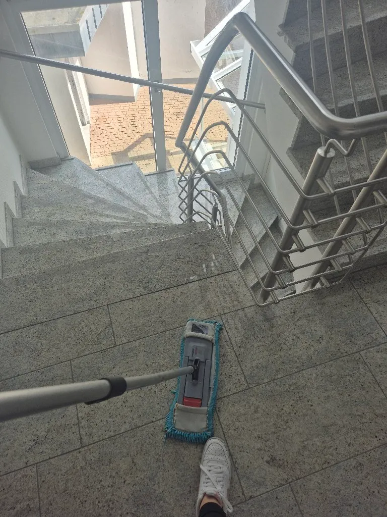 Čišćenje po standardima zapadne Evrope - 2