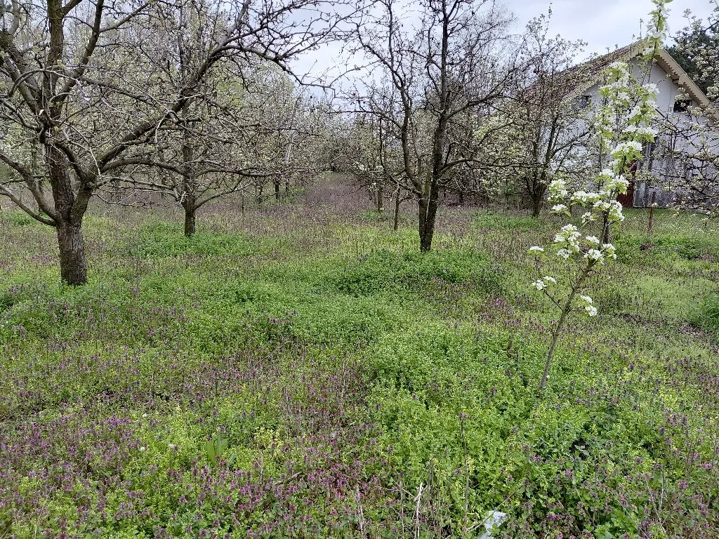 Uredjenje dvorista - 5