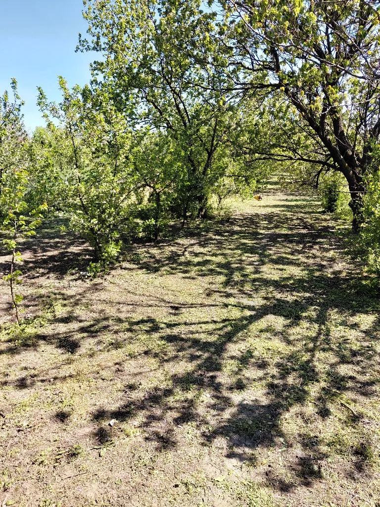 Uredjenje dvorista - 4