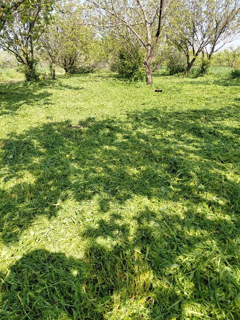 Uredjenje dvorista - 3