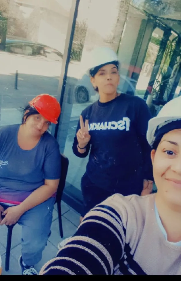 Domacica