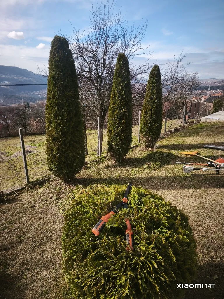 Eco-Trimming Garden Servis - 2