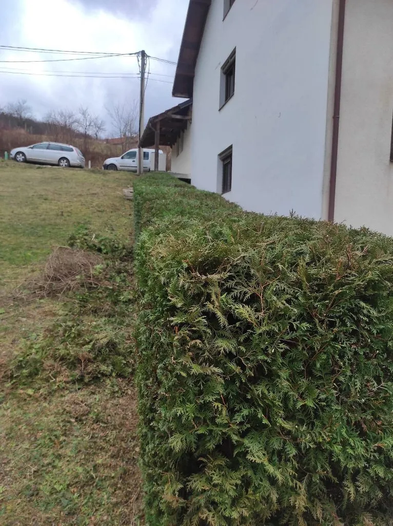 Eco-Trimming Garden Servis - 1